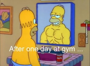 one-day-at-the-gym