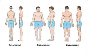 somatotype-body-types